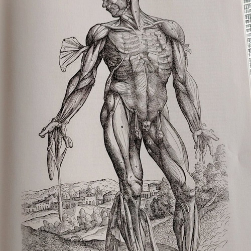 Atlas of Human Anatomy and Surgery book like new