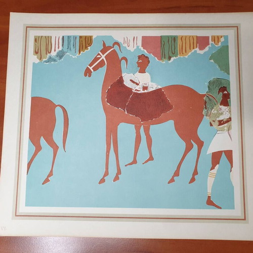 Mycenae album with 12 color plates used, lithographs