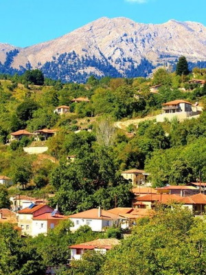 Αγροτεμάχιο 220 τ.μ. με πρόσοψη 13 μέτρα σε δρόμο, θέση Πανόραμα Ζεγολατιό