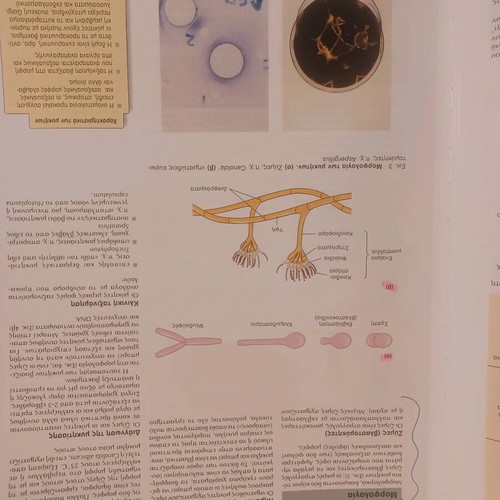Bacteriology, Mycology and Parasitology like new