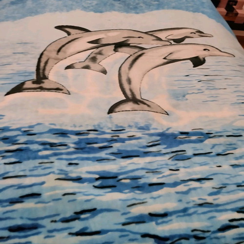 Double blanket with sea and dolphin design like new