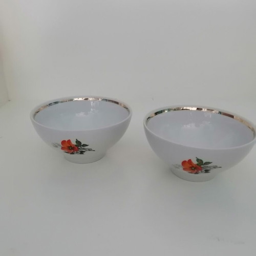 Porcelain bowls vintage set of two with floral pattern, like new
