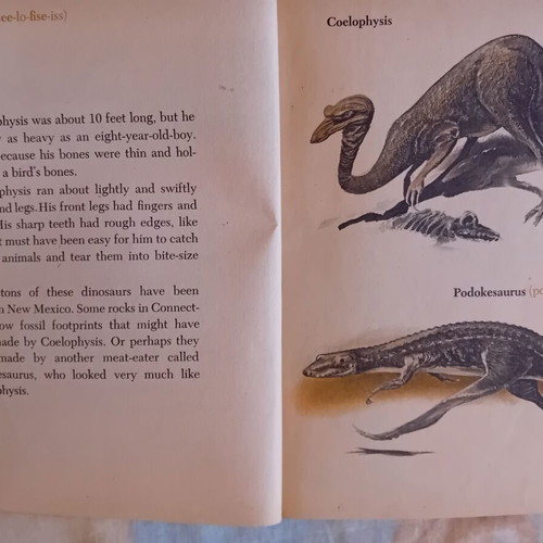 Dinosaurs and More Dinosaurs vintage children's book used, English