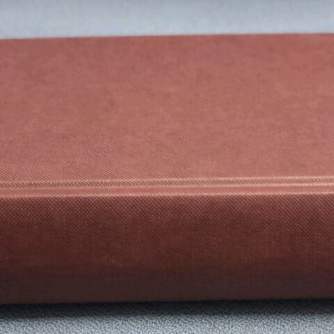 Daughter of fortune hardcover book like new, Isabel Allende