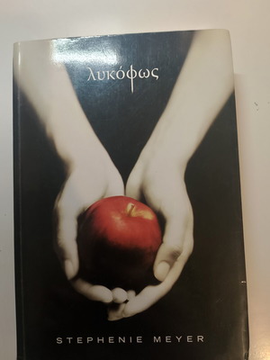 Twilight book like new, first in the series