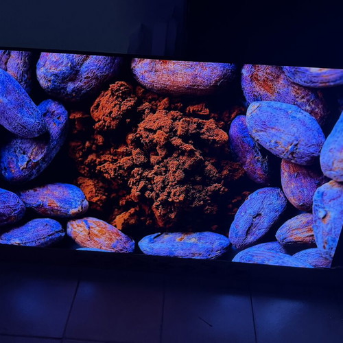 LG OLED CX 65-inch TV with LG S80TR soundbar