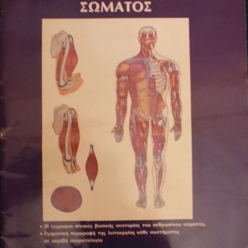 Atlas of Human Body Anatomy like new