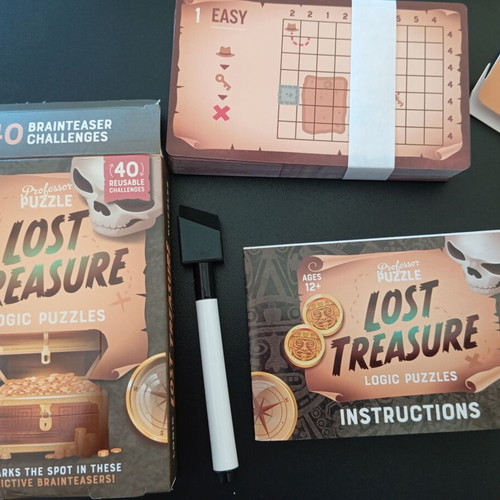 Lost Treasure logic game new