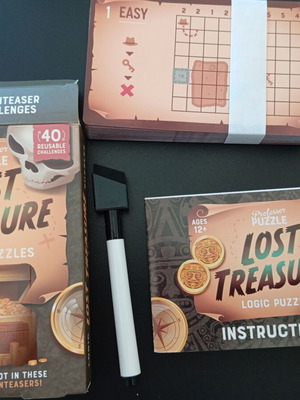 Lost Treasure logic game new