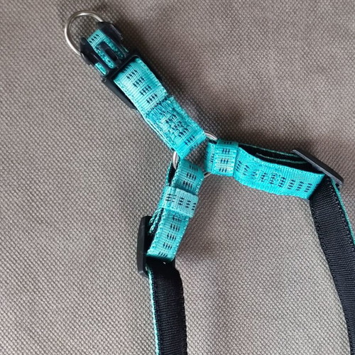 Nobby dog harness new, small-medium, 45-60 cm, leash