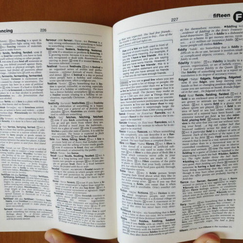 Betsis Compact Dictionary like new, English