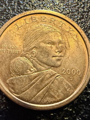 Sacagawea Dollar used