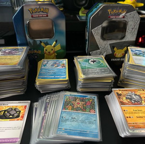 Pokemon Lot