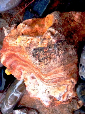 Rare Agate Fire Lace Agate new from river