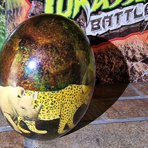 Ostrich Egg for Decoration like new