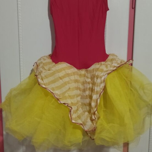 Carnival costume like new