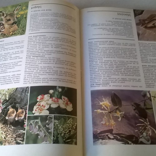 Plants Flowers Gardens book in very good condition