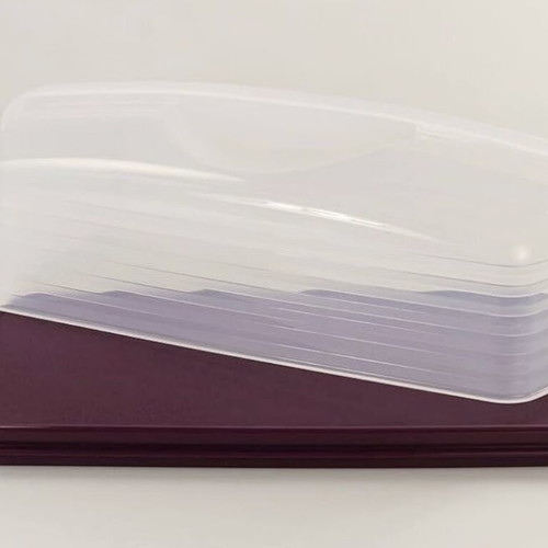 Tupperware Delisie collectible new, color