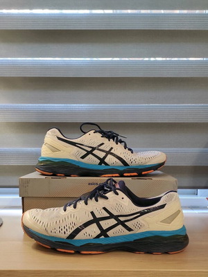 asics kayano 46