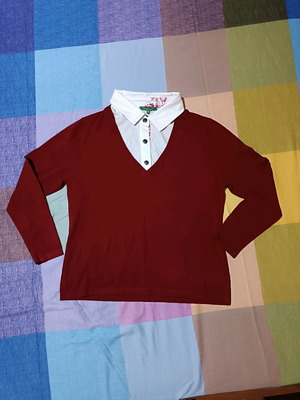 Bordeaux pullover Leonard's like new with shirt front lining