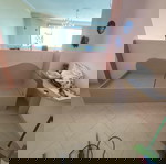  Πωλειται Κρεβατι διαστασεων 2m x 0,90m.