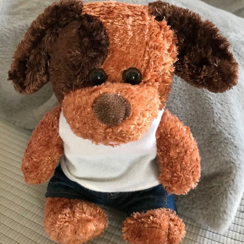 Plush dog with clothes like new, 24 cm