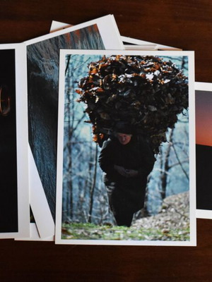 Elio Scarciglia artistic postcard set new, pack of 10 with description