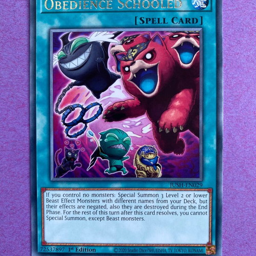Yu-Gi-Oh card Obedience Schooled like new