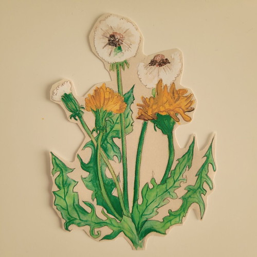 Handmade Eupholouloudo sticker new