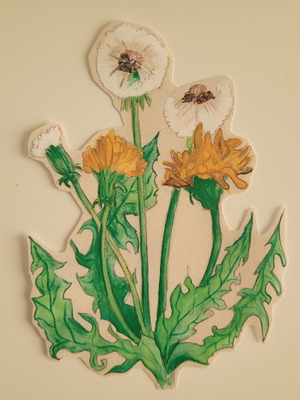 Handmade Eupholouloudo sticker new