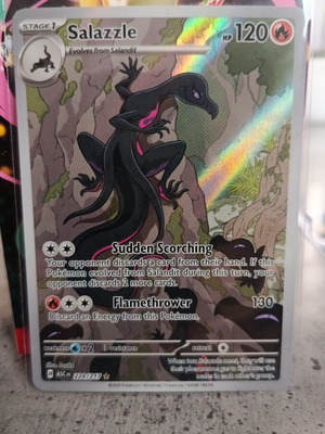 Pokémon Ascenden Heroes 224/217 Illustration Card New