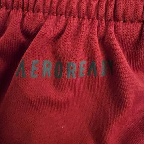 Olympiacos shorts matchworn used, Vasilis Sourlis 2020/2021