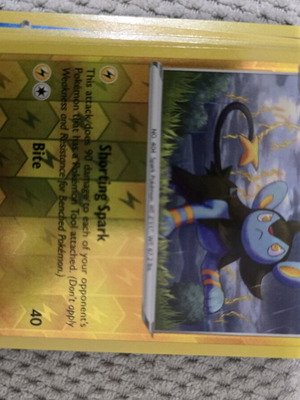 Luxio Pokemon card new