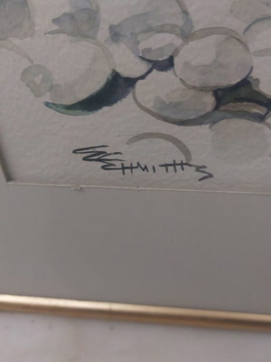 Simitis artwork watercolor used