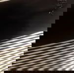  Στράπλες μαυρόασπρο midi φόρεμα Ysatis - Μ