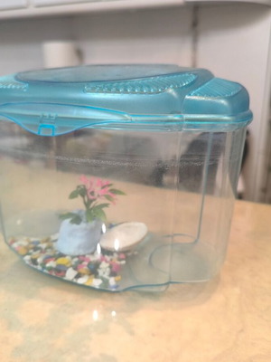 Small aquarium with lid GIF1013 like new