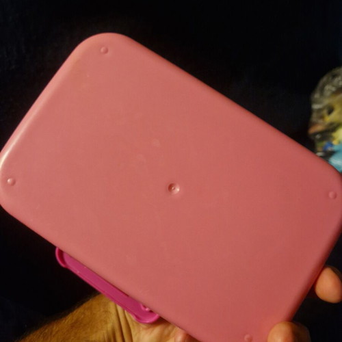 Strawberry Shortcake lunch box used, pink with transparent lid