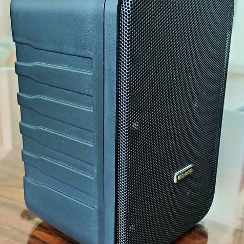 Pas Megasound 60 Watt 3-Way Wall Speaker new, 8Ω