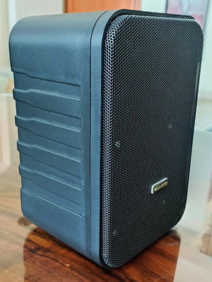 Pas Megasound 60 Watt 3-Way Wall Speaker new, 8Ω