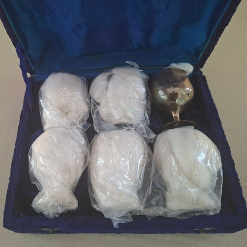 Set of 6 silver-plated liqueur glasses in velvet case