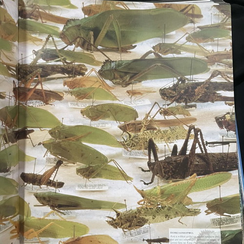 Earth The Ultimate Illustrated Guide hardcover book like new