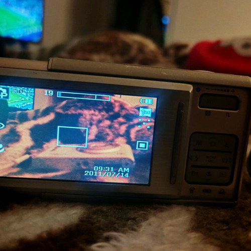 Samsung Digimax i70 Slide digital camera used with case and memory card