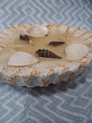 Decorative Candlestick in Shell like new