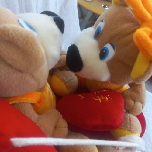 Romantic teddy bear set like new