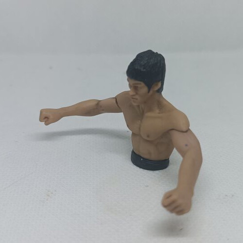 Bruce Lee Mini Busts Set of 5 DyDo Blend Japan