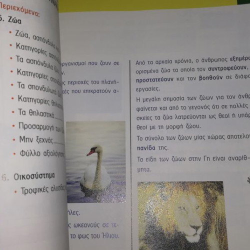 Research and Discover Workbook Grade 6 New