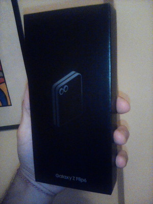 Smartphone Samsung Galaxy Z Flip6 5G 12GB 256GB Ασημί