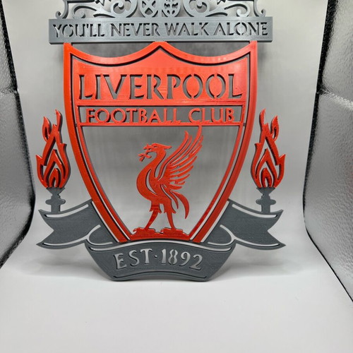 Liverpool logo for wall or desk 18x24x6