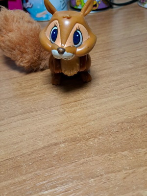 Squirrel miniature used