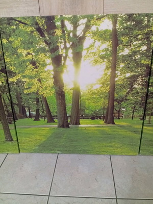 Photo panel canvas set of 3 green landscape with wooden frame